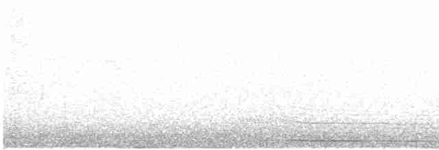 Кукушечья иглоногая сова - ML489916501