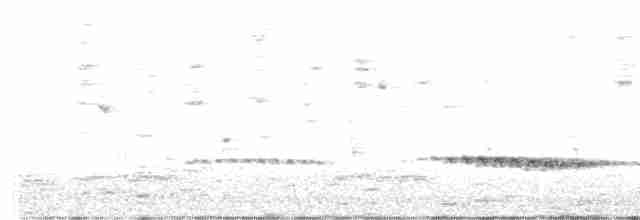Fan-tailed Cuckoo - ML489918511