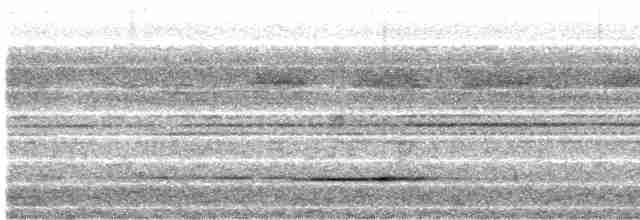 Tinamou de Bartlett - ML489944761