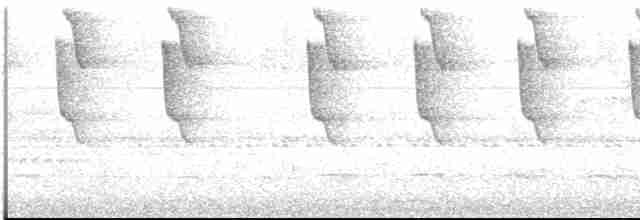 Чешуегорлый колибри-отшельник - ML489948461