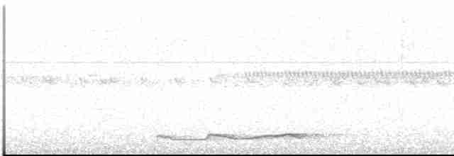 Seidennachtschwalbe - ML489949031