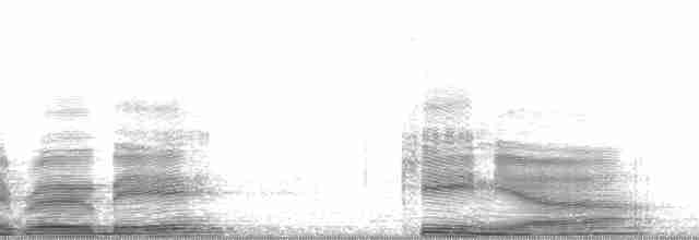 Дрімлюга гірський (підвид poliocephalus) - ML4901