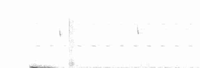 Scissor-tailed Nightjar - ML490111221
