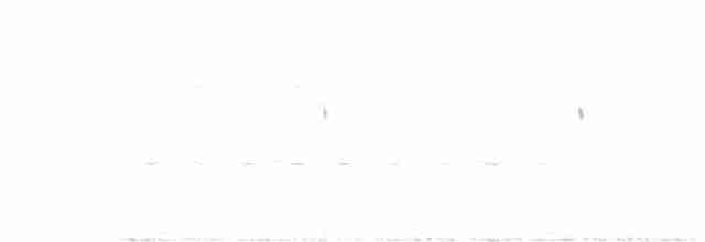 Scissor-tailed Nightjar - ML490111281