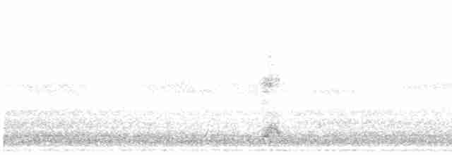 Yellow-crowned Night-Heron - ML490116061