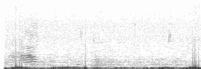 husice australská - ML490139841