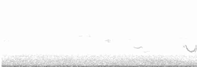 Göçmen Ardıç - ML490152661