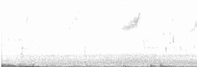 European Starling - ML490152751