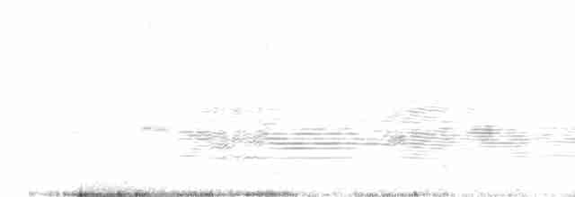 White-capped Albatross (cauta) - ML490168481