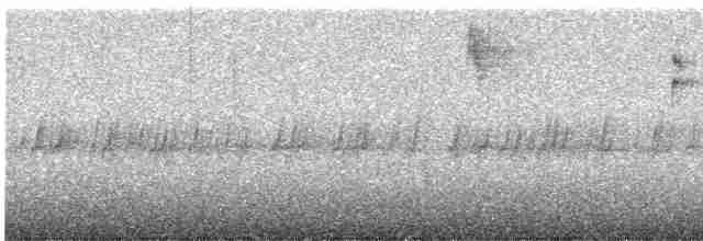 "Шишкар ялиновий (Sitka Spruce, або тип 10)" - ML490194821