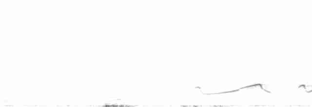 Pfeifnachtschwalbe - ML490201781