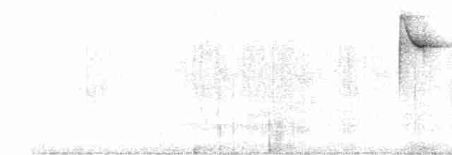 Paruline à paupières blanches - ML490204551