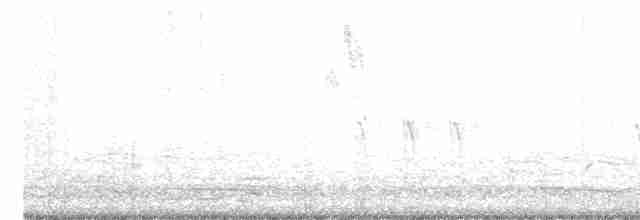 Red Crossbill (Western Hemlock or type 3) - ML490211381