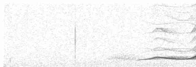 Büyük Karatüfek - ML490228251