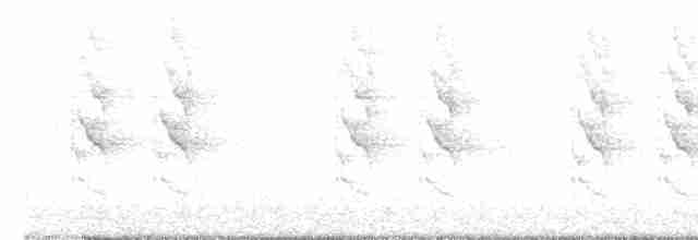 Rose-ringed Parakeet - ML490245571