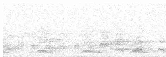 Синекрылая кукабара - ML490247771