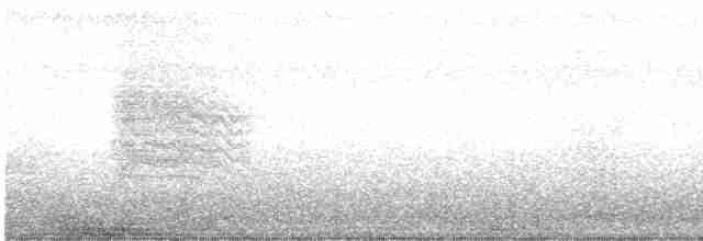 Gray Catbird - ML490258991