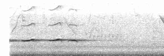 Striped Cuckoo - ML490266851