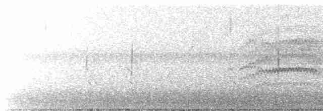 Turuncu Gagalı Bülbül Ardıcı - ML490300021