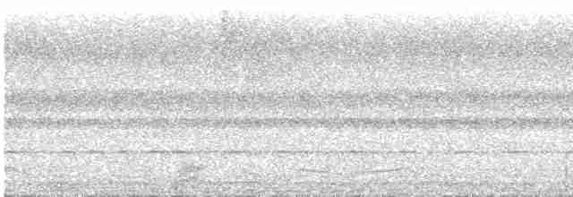 Seidennachtschwalbe - ML490413871