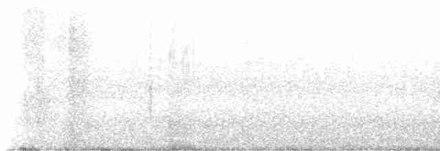 Yellow-crowned Night Heron - ML490426991