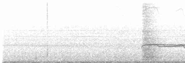 Дрімлюга гірський (підвид poliocephalus) - ML490506481