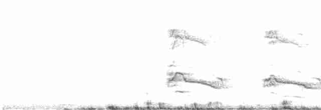 Steller Kargası - ML490510271