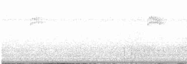 Gray-streaked Flycatcher - ML490512851