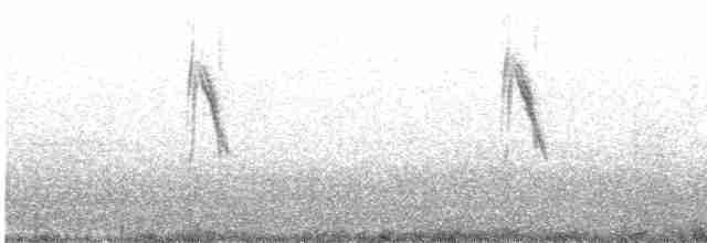 Western Yellow Wagtail - ML490569691