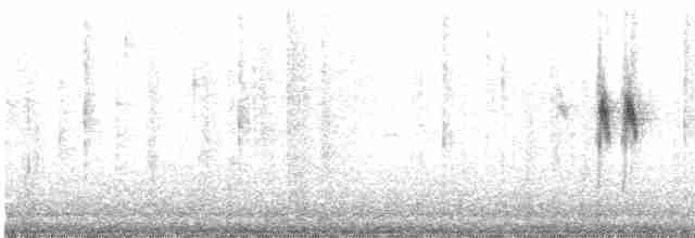 Gray Wagtail - ML490636811