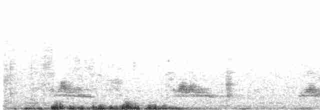 Flightless Steamer-Duck - ML490648601