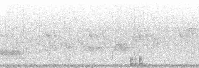 strakapoud bělohlavý - ML49071