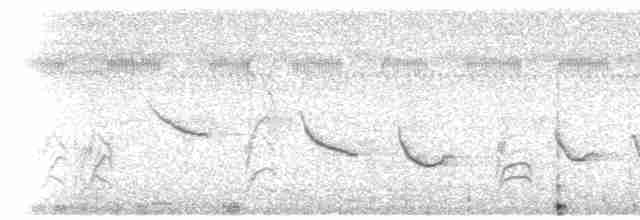 Kara Gagalı Koca Tohumcul - ML490715311