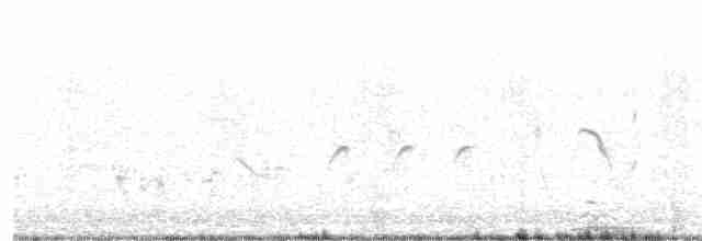 Rufous Fieldwren - ML490765261