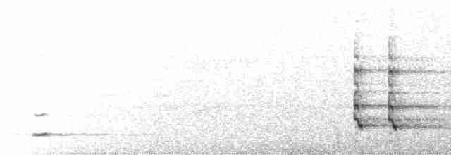 Geai à nuque blanche - ML490821741