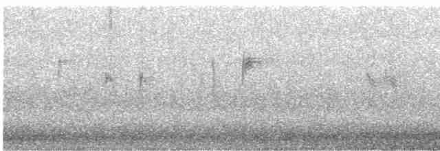 White-throated Dipper - ML490826891