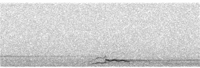 Гагара полярна - ML49085751