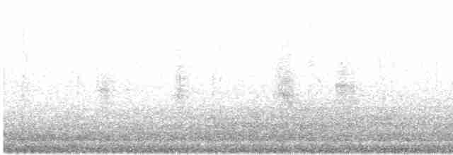 Kiefernkreuzschnabel - ML490911461