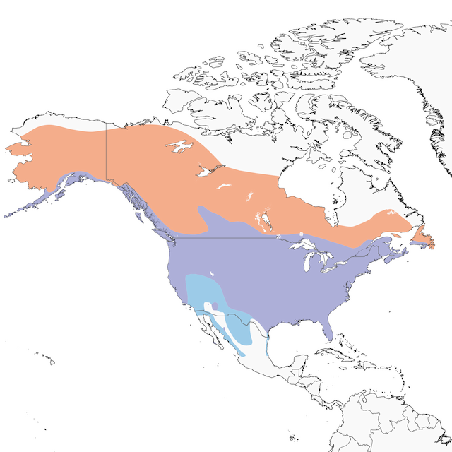Distribution of the Bald Eagle - Bald Eagle - 