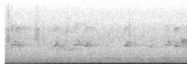 Kara Giysili Karıncakuşu - ML491011801