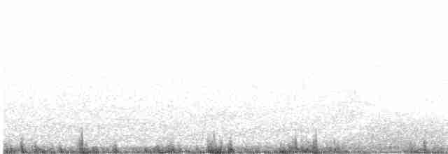 Длинноклювый кулик-сорока - ML491029581