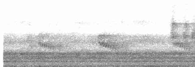 Каролинский крапивник - ML491054701