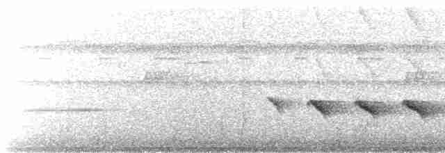 Kısa Kuyruklu Karıncakuşu - ML491175921