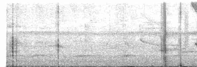 gittermaurvarsler - ML491204981