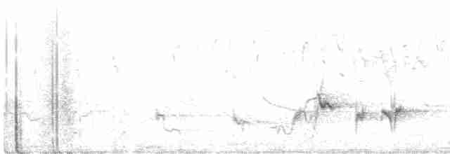 Кустарниковая славка-монашка - ML491315501