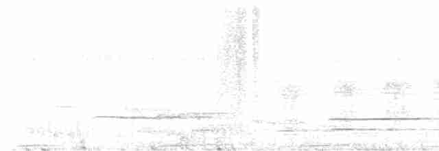 Kestane Karınlı Guguk - ML491341571