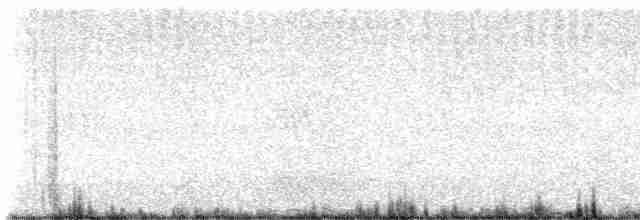 Mavi Kanatlı Ördek - ML491369711