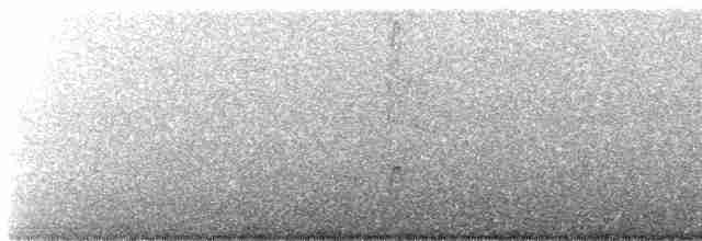Blue-gray Tanager (White-edged) - ML491389661