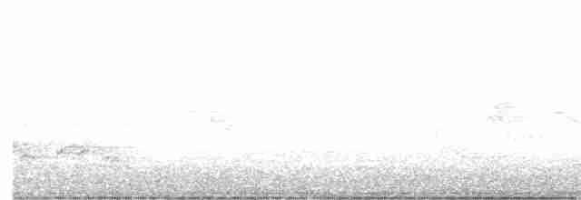 Woodland Kingfisher - ML491411561