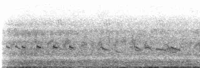 Little Ringed Plover - ML491483531